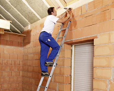 Z300-single-ladder-with-rungs-2.-NEWjpg-600x600-#3